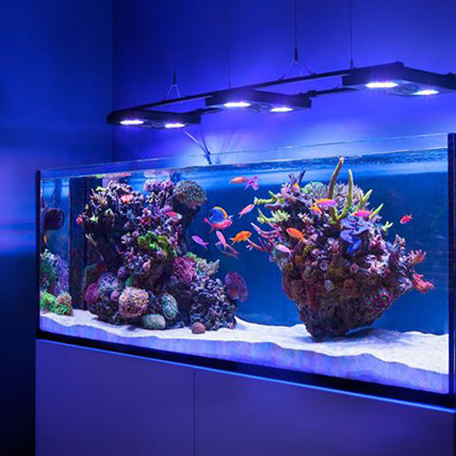 Màu tùy chỉnh 12mm Aquarium Acrylic Sheets Crystal Plexiglass Pmma Sheets