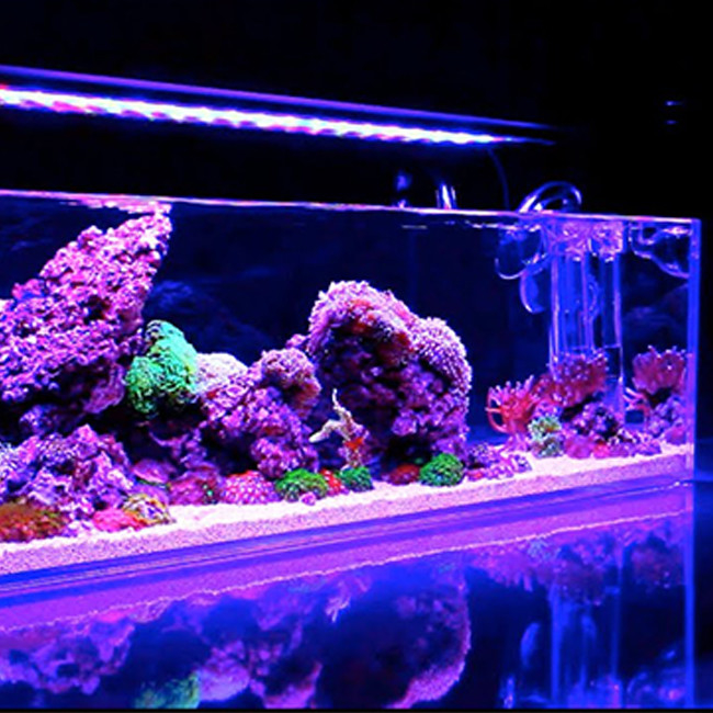 Màu tùy chỉnh 12mm Aquarium Acrylic Sheets Crystal Plexiglass Pmma Sheets