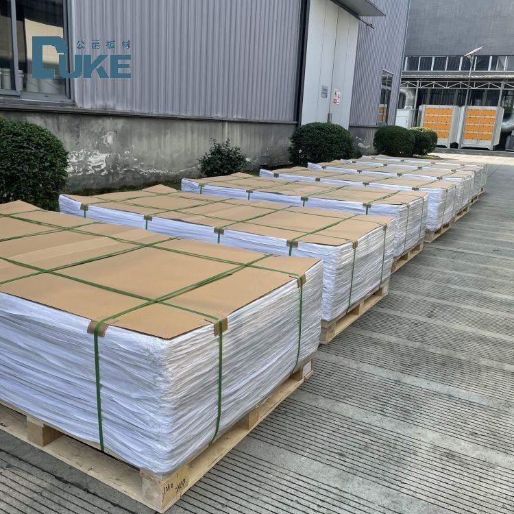 DUKE Phòng vệ sinh lớp chống nấm mốc 3mm Phòng tắm PMMA màu trắng Thiết kế tùy chỉnh tấm Acrylic đúc PE 5mm 8mm Dịch vụ cắt tùy chỉnh