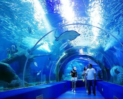 Tấm Acrylic Đúc Dày Chịu Lực Lớn Trong Suốt Cho Hồ Cá, Thủy Cung, Cửa Sổ Quan Sát Dưới Nước